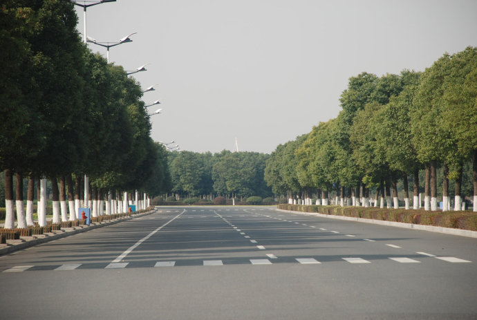 合肥高新區(qū)香樟大道改造項(xiàng)目