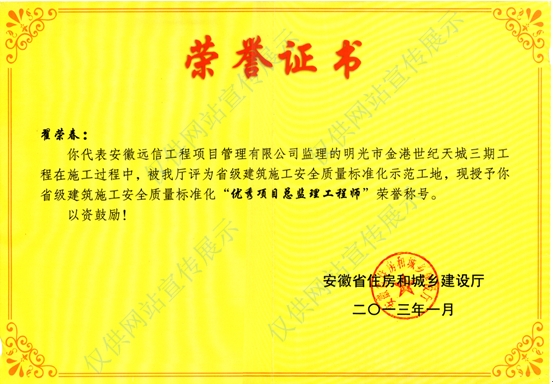 優秀項目總監理工程師