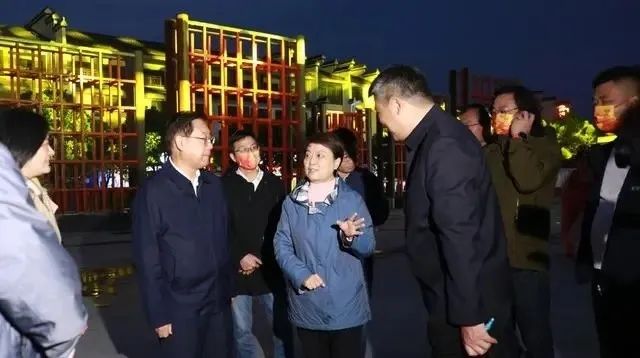 副省長王翠鳳率隊調研我公司長江不夜城項目